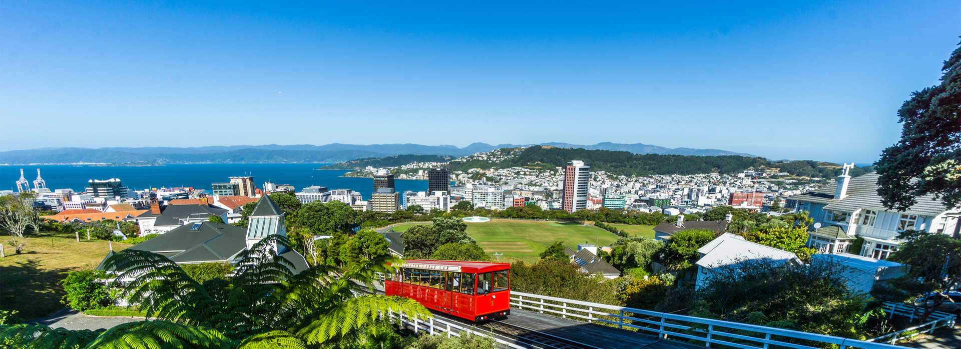 New Zealand Signature Tours banner